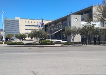 Πόσους οδηγούς έχουν οι αντιδήμαρχοι;