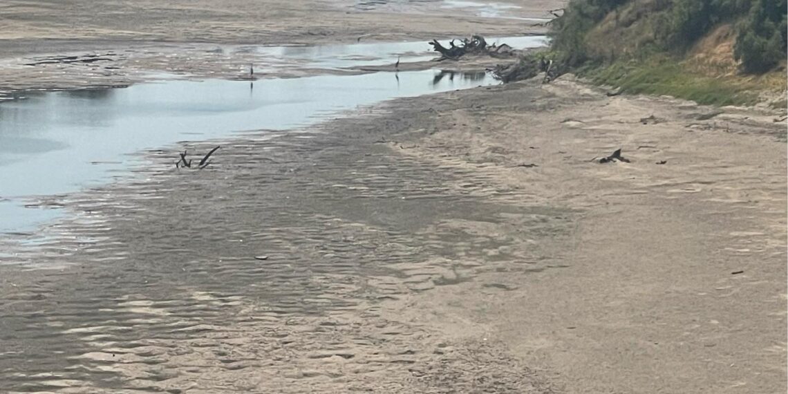 Έβρος: Το ποτάμι που στέγνωσε – Αγρότες σε απόγνωση