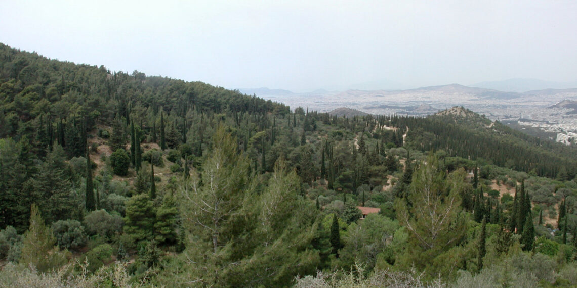 Απαγόρευση κυκλοφορίας πεζών και τροχοφόρων κάθε είδους, στους Δήμους Κασσάνδρας, Σιθωνίας και Αριστοτέλη