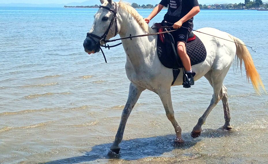 Θάσος: Άλογο τραυμάτισε 5χρονη σε παραλία!