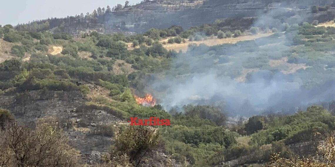 Μάχη με τις αναζωπυρώσεις στη φωτιά στην Άσσηρο (φωτό – βίντεο)