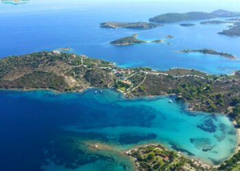 Όταν η προέλευση της γης αποκρύπτεται και το δάσος μετατρέπεται σε «οικοδομήσιμη έκταση»