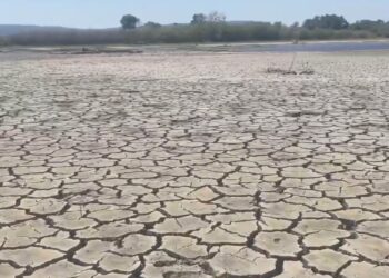 «Έρημος» ο Έβρος ποταμός (βίντεο)