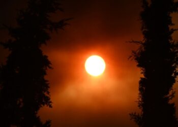 Φωτιά στον Φενεό Κορινθίας: Αλλεπάλληλα μηνύματα του 112 για εκκενώσεις χωριών (video)