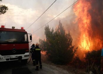 Ροδόπη: Αυξήθηκαν τα εναέρια μέσα για την κατάσβεση της δασικής πυρκαγιάς στην περιοχή Χλόη