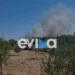 Φωτιά κοντά σε σπίτια στο Αλιβέρι – 112 για εκκένωση δύο οικισμών (Video)