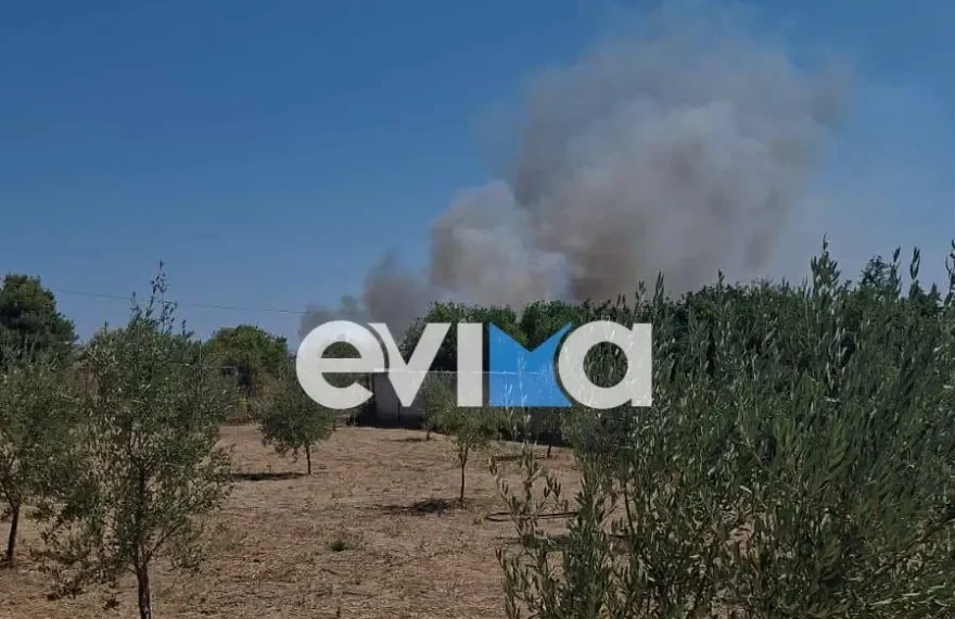 Φωτιά κοντά σε σπίτια στο Αλιβέρι – 112 για εκκένωση δύο οικισμών (Video)