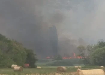 Φωτιά στο Βαρικό Φλώρινας – Ήχησε το 112, επιχειρούν εναέρια μέσα