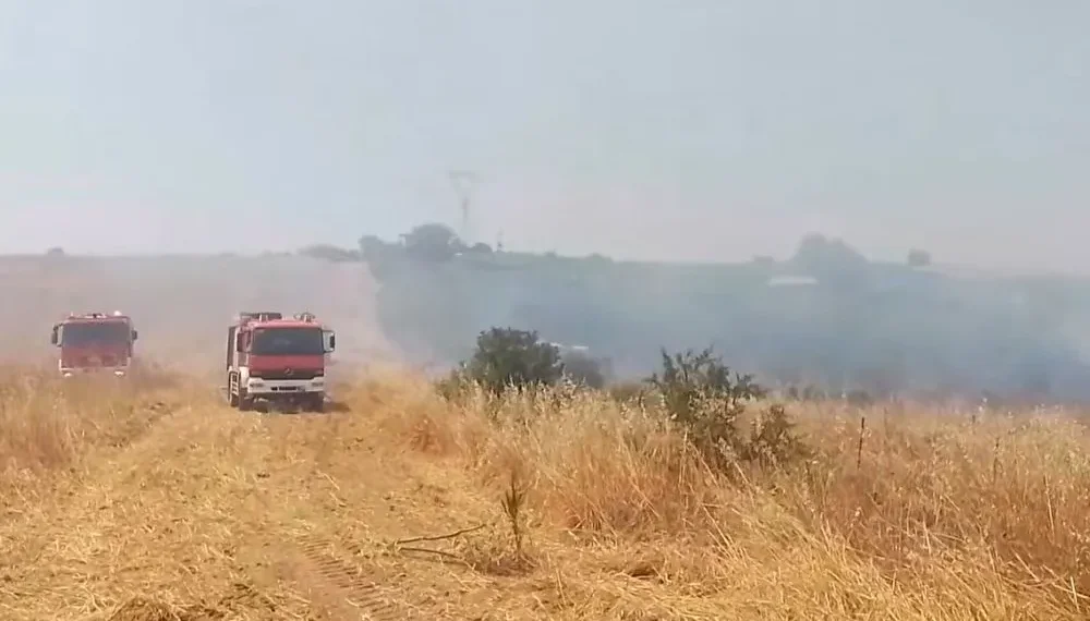 Χαλκιδική: Φωτιά στη Νέα Φώκαια – Ισχυρές πυροσβεστικές δυνάμεις (video)