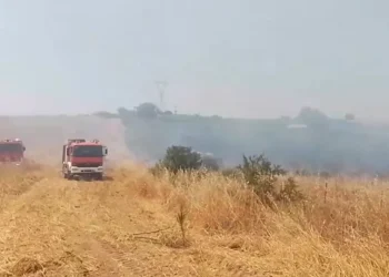 Χαλκιδική: Φωτιά στη Νέα Φώκαια – Ισχυρές πυροσβεστικές δυνάμεις (video)