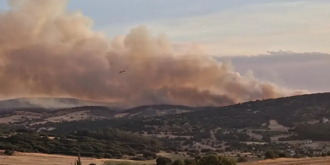 Θεσσαλονίκη: Φωτιά σε δασική έκταση στο Μεσαίο – Μήνυμα του 112 σε κατοίκους της περιοχής (Video)