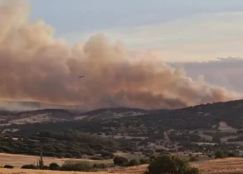 Θεσσαλονίκη: Φωτιά σε δασική έκταση στο Μεσαίο – Μήνυμα του 112 σε κατοίκους της περιοχής (Video)