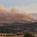 Θεσσαλονίκη: Φωτιά σε δασική έκταση στο Μεσαίο – Μήνυμα του 112 σε κατοίκους της περιοχής (Video)