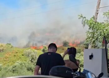 Φωτιά τώρα μεταξύ Μονολιθίου και Καναλίου στην Πρέβεζα (video)