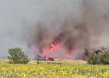 Μεγάλη φωτιά στις Σέρρες (video)