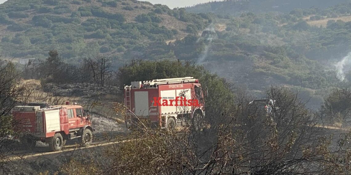 Καλύτερη η εικόνα από τη φωτιά στην Άσσηρο Θεσσαλονίκης (Φωτό – Βίντεο)