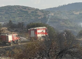 Καλύτερη η εικόνα από τη φωτιά στην Άσσηρο Θεσσαλονίκης (Φωτό – Βίντεο)