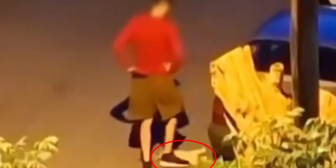 Προστίμο 50.000 ευρώ για την κακοποίηση και θανάτωση ζώου συντροφιάς στην Καλαμαριά