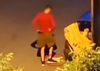 Προστίμο 50.000 ευρώ για την κακοποίηση και θανάτωση ζώου συντροφιάς στην Καλαμαριά