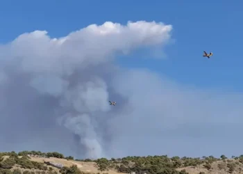 Καλύτερη η εικόνα από τη δασική φωτιά στη Βουρβουρού Χαλκιδικής (ΦΩΤΟ+Video)