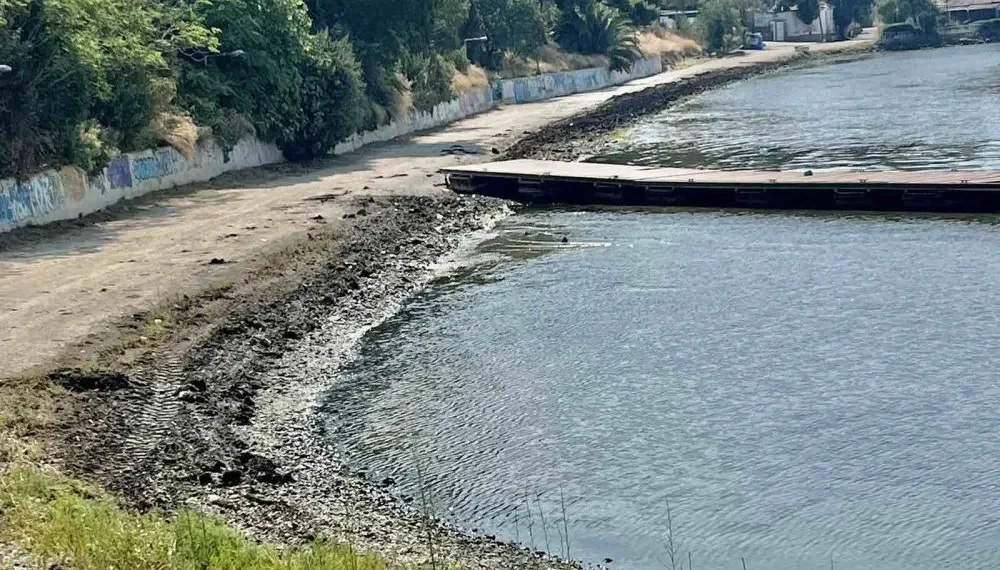 Δ. Καλαμαριάς: Καθαρισμός του παραλιακού μετώπου από φύκια και σκουπίδια (ΦΩΤΟ)