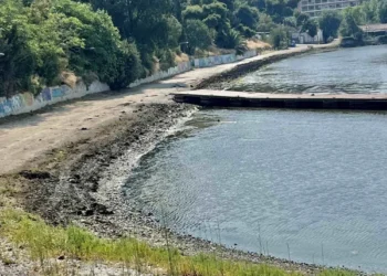 Δ. Καλαμαριάς: Καθαρισμός του παραλιακού μετώπου από φύκια και σκουπίδια (ΦΩΤΟ)