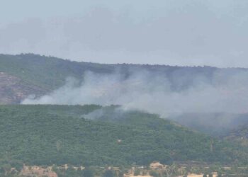 Μάχη με τις φλόγες στην Κοζάνη (VIDEO)