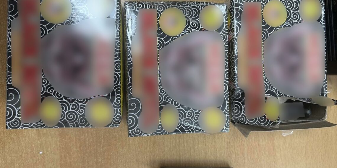 Εύζωνοι: Χειροπέδες σε 41χρονη που προσπάθησε να μπει στη χώρα με 60 κροτίδες