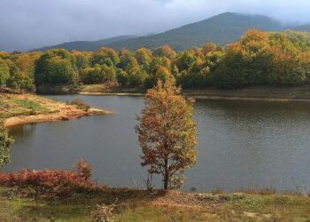 Νέοι ισχυρότεροι κανόνες εποπτείας των τραπεζών
