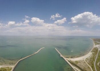 Μύδια Θερμαϊκού: Ανύπαρκτη η φετινή παραγωγή – Κίνδυνος και για το μέλλον