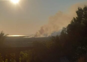 Έθεσαν υπό έλεγχο την πυρκαγιά στην Ορμύλια Χαλκιδικής