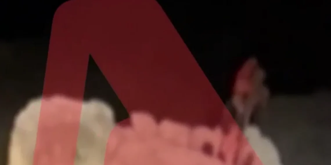 Βίντεο – ντοκουμέντο από τη διάσωση ψαροντουφεκά στον Βόλο