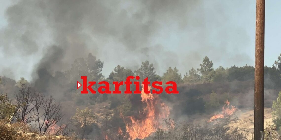 Μάχη με τις φλόγες στην Άσσηρο – Ισχυρές πυροσβεστικές δυνάμεις (video)
