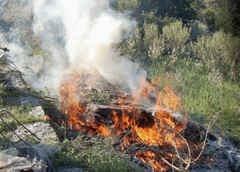 Θεσσαλονίκη: “Τσουχτερό” πρόστιμο σε εικοσάχρονο που έκαψε ξερά χόρτα στη Θέρμη