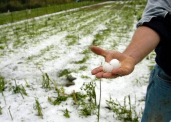 Μεγάλη καταστροφή σε καλλιέργειες στην Καστοριά από τη χαλαζόπτωση!