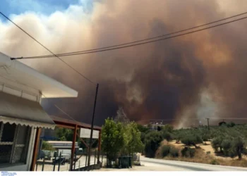 Εφιαλτική νύχτα πέρασαν Πρέβεζα, Αχαΐα, Ζάκυνθο και Χίο: Συνεχίζουν οι μάχες με τις φλόγες (video)