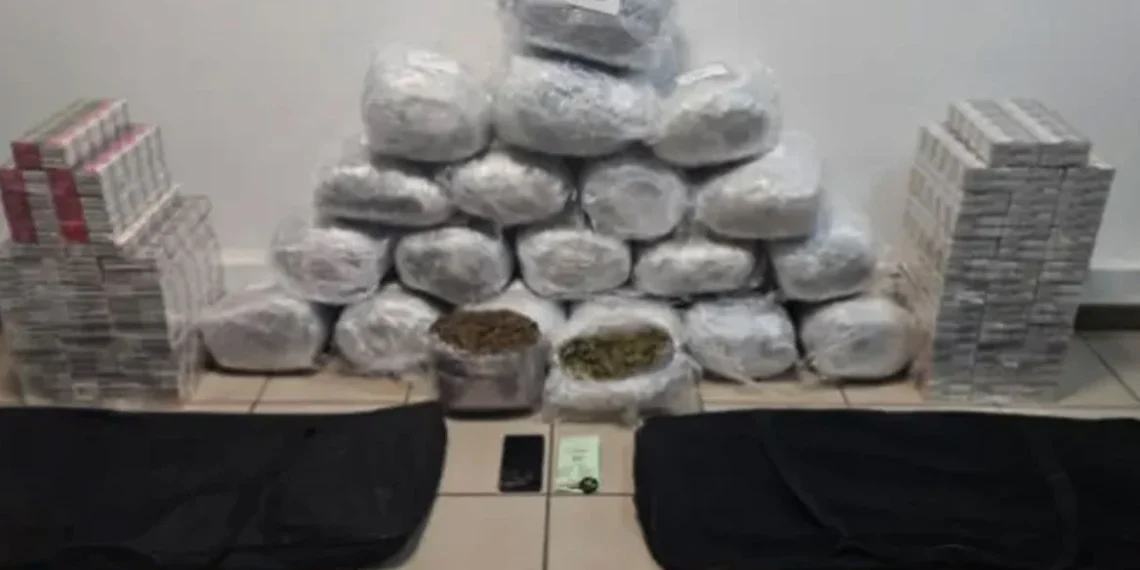 Θεσσαλονίκη: Συνελήφθη 31χρονος αλλοδαπός με 22 κιλά κάνναβης και 800 λαθραία πακέτα τσιγάρων!