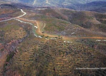 Σχέδια για 217 ανεμογεννήτριες στον Έβρο