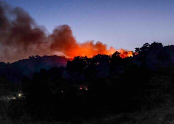 Φωτιά σε δασική έκταση στη Μελίταινα Ροδόπης
