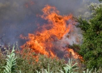 Πυρκαγιές σε Ζάκυνθο και Κεφαλονιά (video)