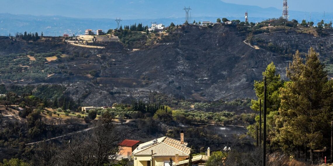 Ξεκίνησαν οι αυτοψίες στις πληγείσες περιοχές από τις πυρκαγιές
