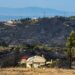 Ξεκίνησαν οι αυτοψίες στις πληγείσες περιοχές από τις πυρκαγιές