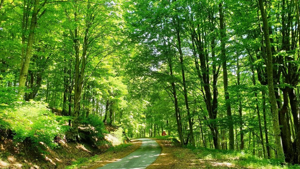 Η άγρια ομορφιά της φύσης στην ανατολική Μακεδονία και Θράκη (PHOTOS)
