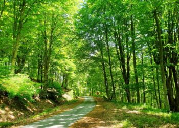 Η άγρια ομορφιά της φύσης στην ανατολική Μακεδονία και Θράκη (PHOTOS)