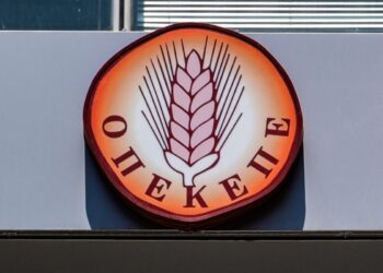 Αιφνιδιαστική επίσκεψη κλιμακίου της ΑΑΔΕ στον ΟΠΕΚΕΠΕ (video)