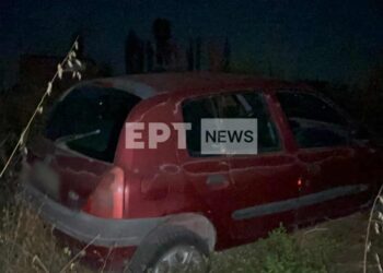 Έπεσε στα χωράφια στο Άργος Ορεστικό για να μη χτυπήσει γατάκι (VIDEO)