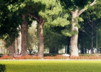 Θεσσαλονίκη: Σύλληψη αλλοδαπού για προσβολή γενετήσιας αξιοπρέπειας σε βάρος δύο κοριτσιών