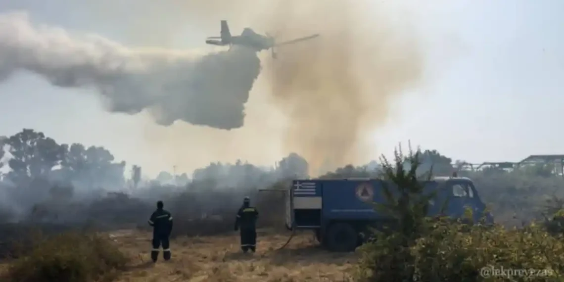 Μάχη με τις φλόγες στην Πρέβεζα (VIDEO)