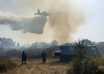 Μάχη με τις φλόγες στην Πρέβεζα (VIDEO)
