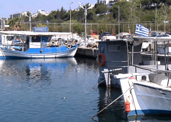 Απόγνωση από τα άδεια δίχτυα για τους αλιείς του Θερμαϊκού